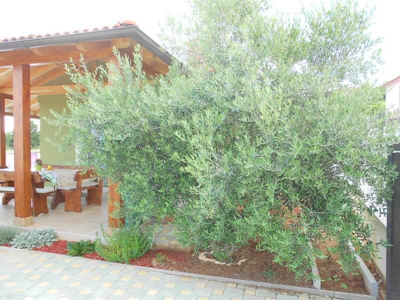 Holiday Home Tanja بولا الغرفة الصورة